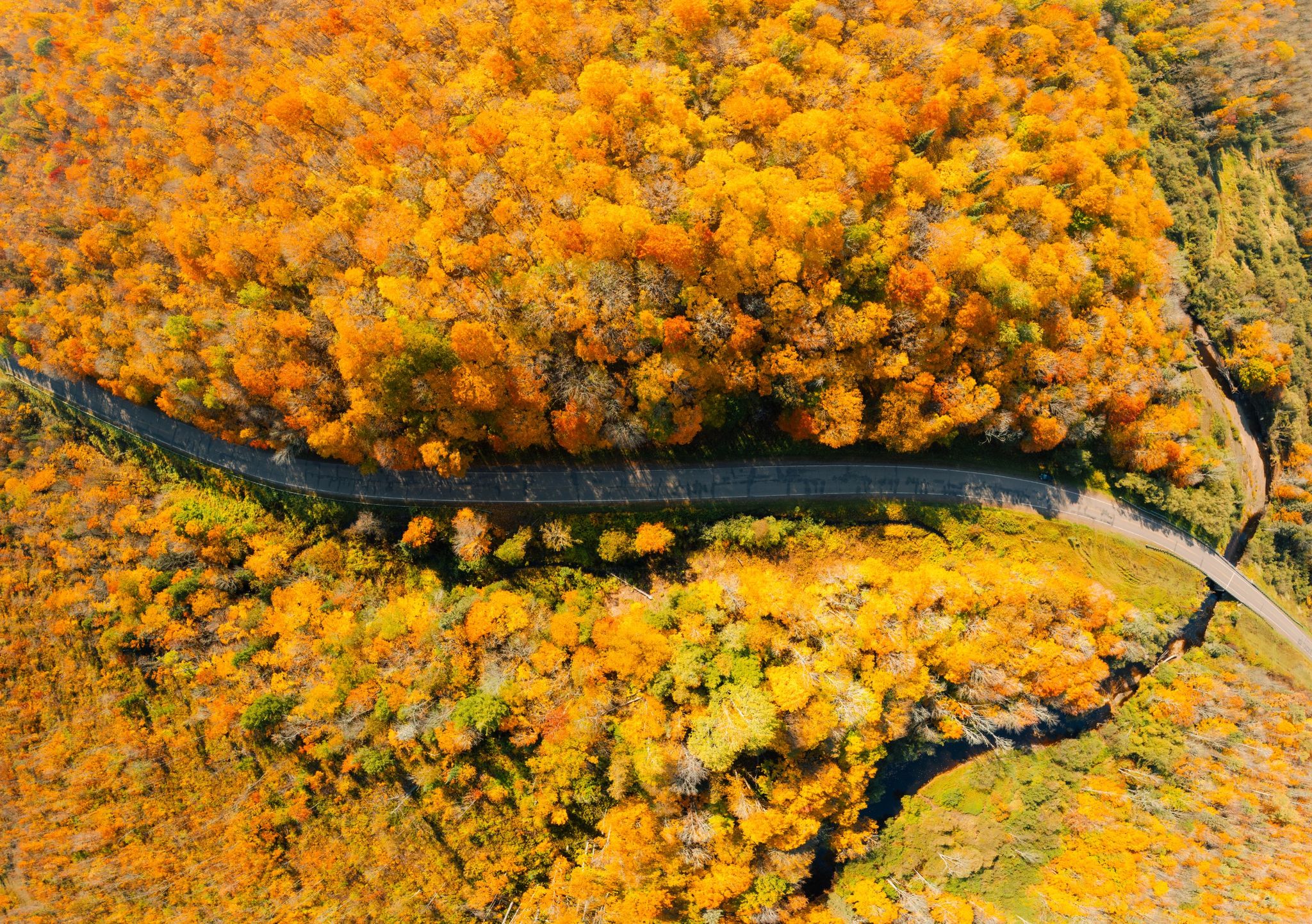 An aerial drone shot of fall foliage with a road going through it
